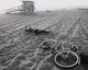 Beach Cruiser am Venice Beach