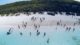 Pig Beach auf den Exuma Cays, Bahamas