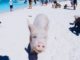 Schwein am Strand Big Major Cay Karibik