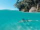Frenchman's Cove Jamaika mit GoPro Dome