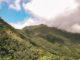 Jamaika Blue Mountain Peak Trail
