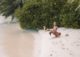 Mahe Seychellen Anse Soleil