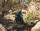Mykonos Highlights Platis Gialos Wanderung