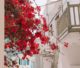 Mykonos Urlaub weiße Gassen Altstadt