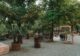 Stadtstrand Bayreuth