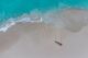 Aruba Urlaub Sehenswürdigkeiten Eagle Beach