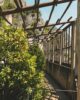 Limonaia del Castel | Zitronengewächshaus Limone sul Garda