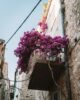 Hvar Stadt Kroatien