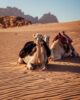Jordanien Tipp Wadi Rum